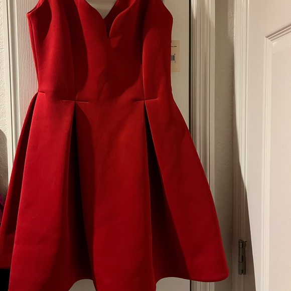 Ali Ro adorable dress with pleated flared bottom so cute dress up or down - Picture 14 of 14